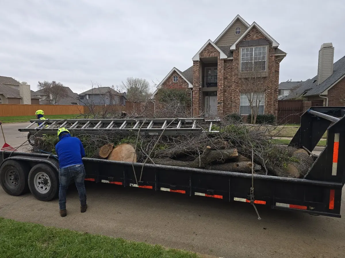 Expert Lot Clearing with proper safety equipment in Landisburg
